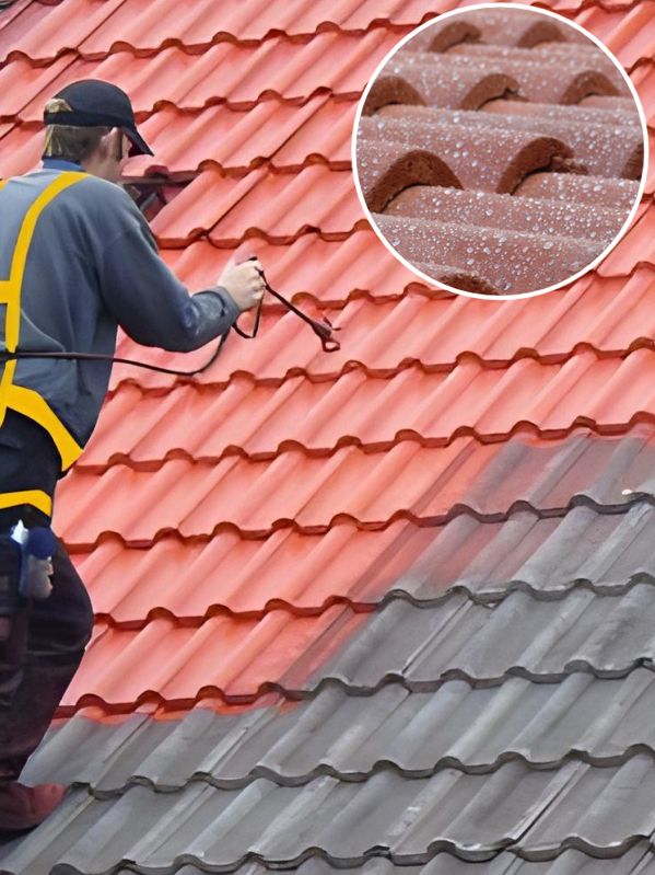 Mp Renovation, Nettoyeur toiture à Louhans (71500) - hydrofuge de toiture