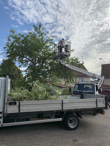 Ja Artisan, Élagueur à Chalon-sur-Saône (71100) - Elagage arbre Chalon-Sur-Saone